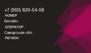 9608295458